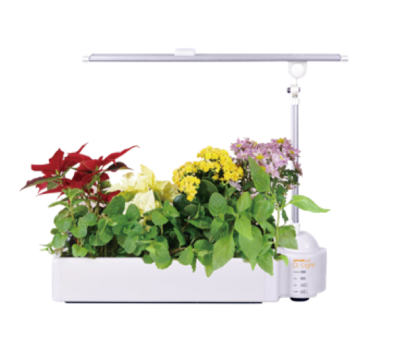 OPCOM O2-Light Garden (hydroponic system)