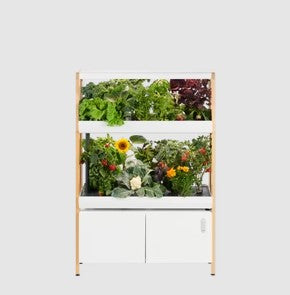 Tiered Rise Garden