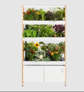 Tiered Rise Garden