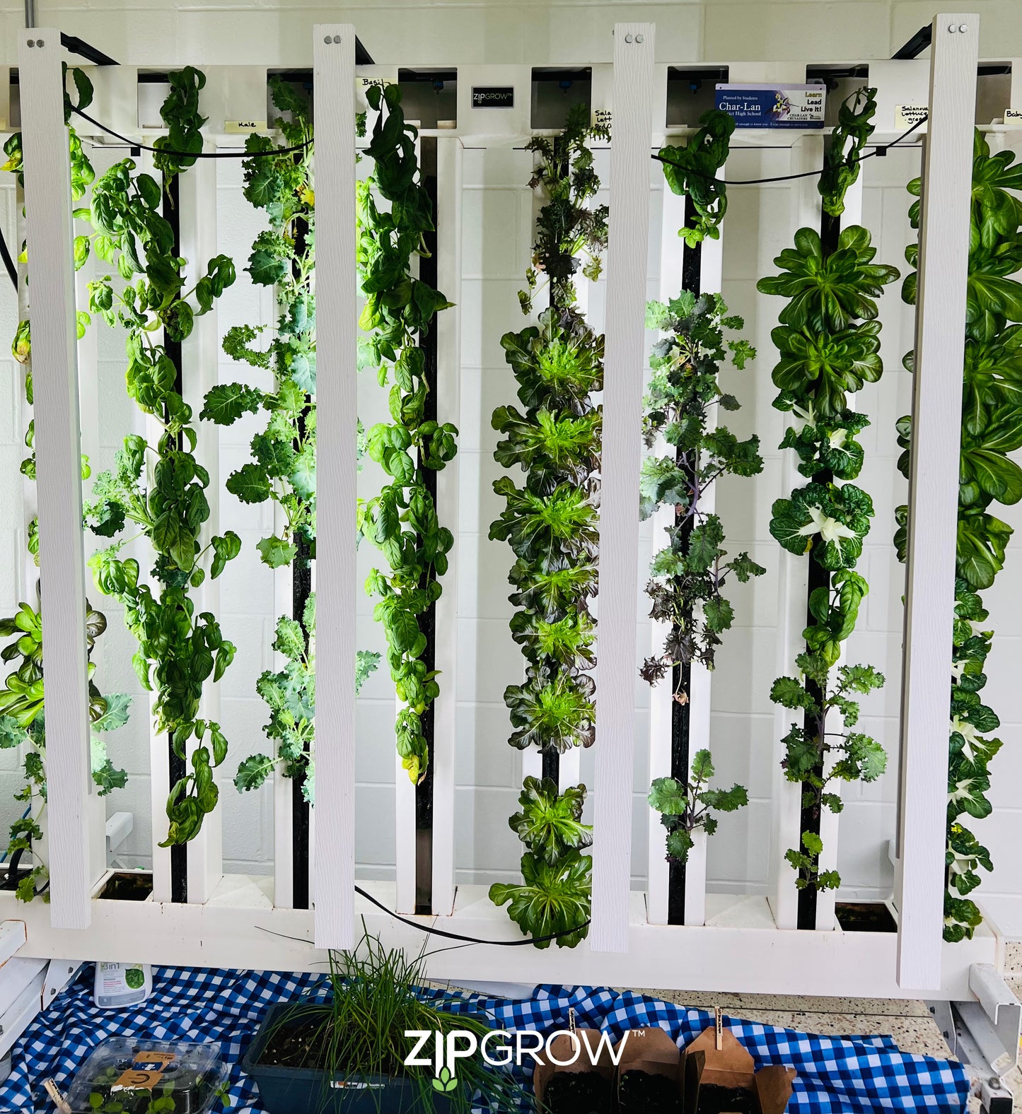 ZipGrow Education Rack