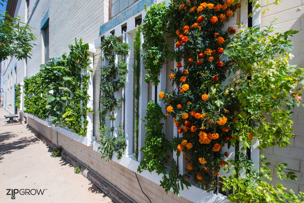 ZipGrow™ Farm Wall™