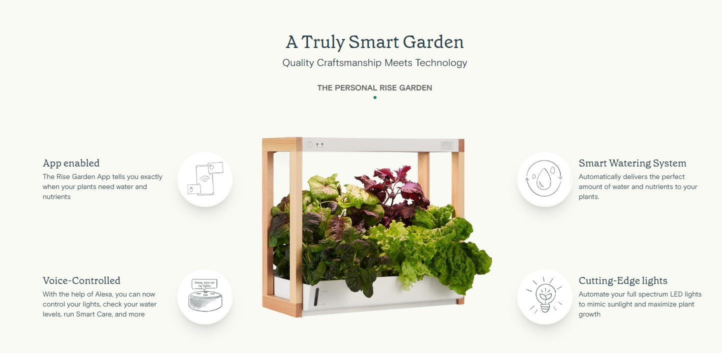 Personal Rise Garden