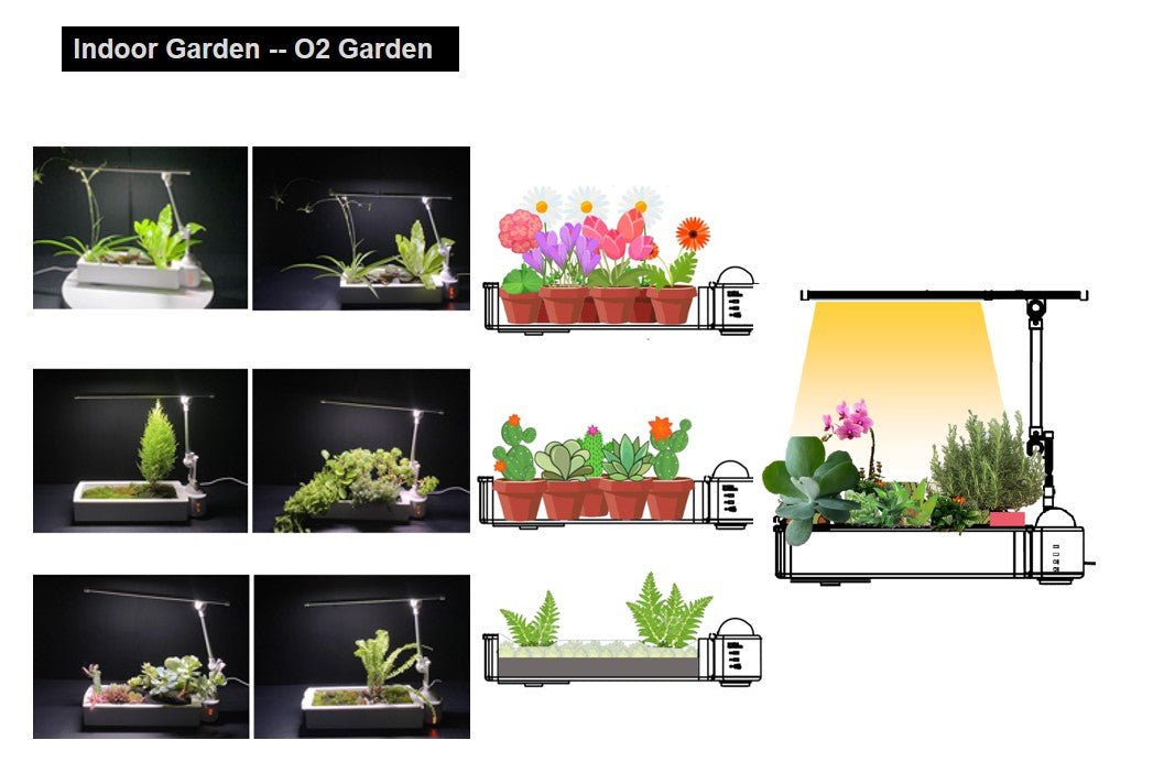 OPCOM O2-Light Garden (hydroponic system)