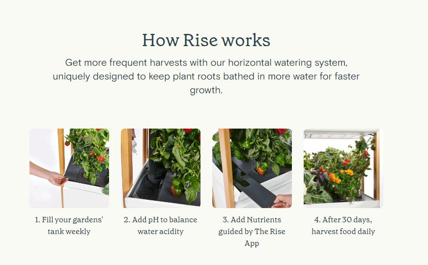 Tiered Rise Garden