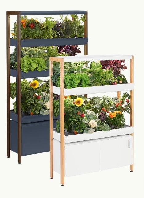 Tiered Rise Garden