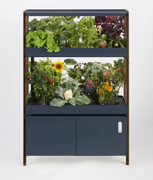 Tiered Rise Garden