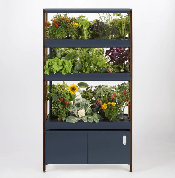 Tiered Rise Garden
