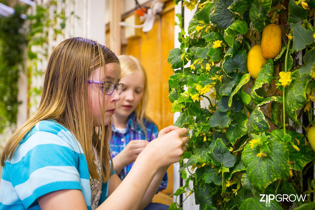 ZipGrow Education Rack